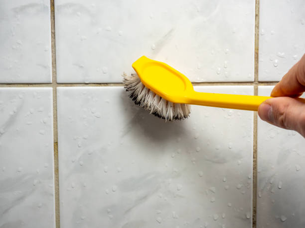 Best Local Mold Removal Service  in Sully Square, VA