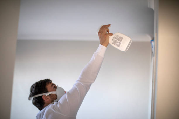 Best Mold Cleaning Services  in Sully Square, VA