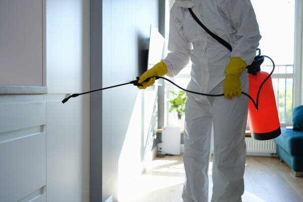 Best Home Mold Removal  in Sully Square, VA